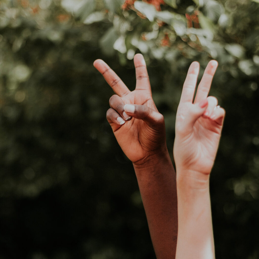 RAIF a adressé en février une pétition à l’Assemblée nationale pour demander une commission d’enquête. TF1 INFO - Charlotte Anglade