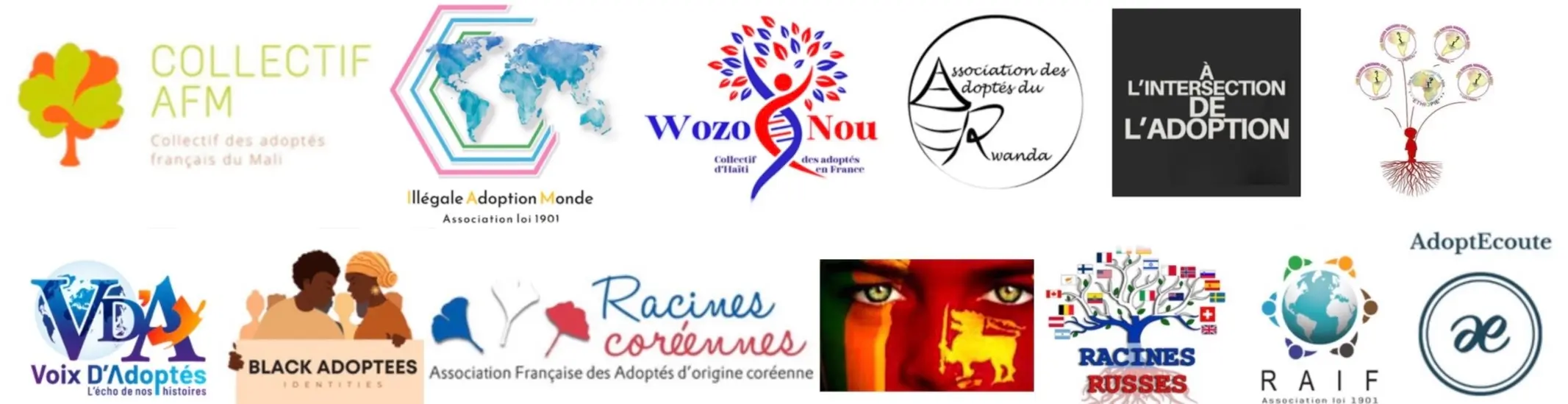 IMG_2969-e1706809322274