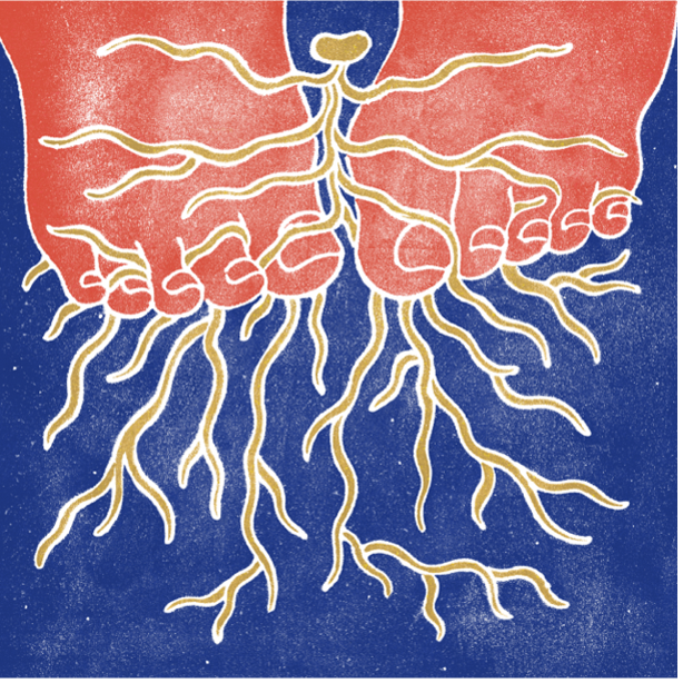 L'ADOPTION EN QUESTION #3 (Jeudi 6 Novembre 2025)
